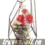 Đoản Ngọt – Tình Văn