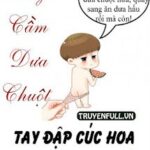 Tay Cầm Dưa Chuột Tay Đập Cúc Hoa