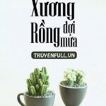 Xương Rồng Đợi Mưa