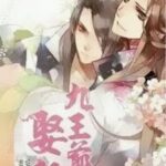 Cửu Vương Gia Yêu Triền Vạn Quán