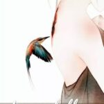 Hương Bồ Mềm Như Tơ