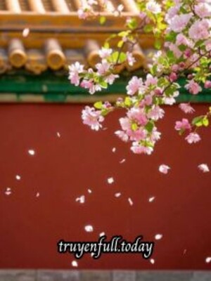 Tuế Nguyệt Tĩnh Hảo – Nam Phong